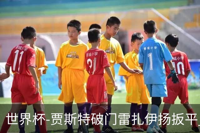 世界杯-贾斯特破门雷扎伊扬扳平 半场伊朗1-1新西兰
