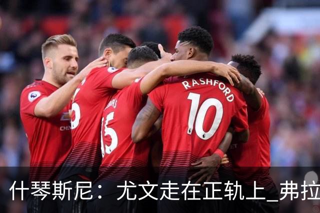 什琴斯尼：尤文走在正轨上 弗拉霍维奇非常出色